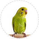 Pflege & Wartung